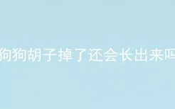 狗狗胡子掉了还会长出来吗