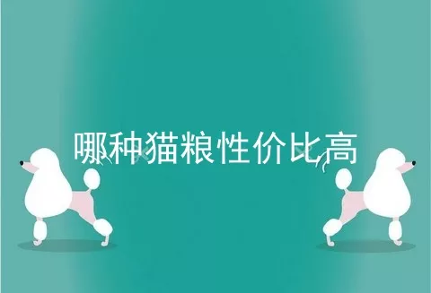 哪种猫粮性价比高