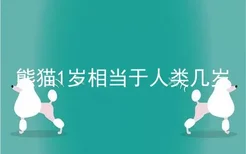 熊猫1岁相当于人类几岁