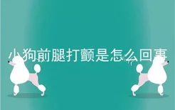 小狗前腿打颤是怎么回事