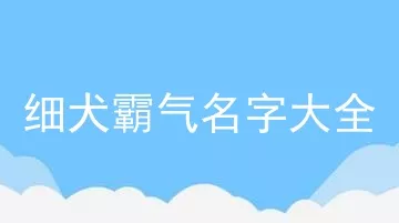 细犬霸气名字大全