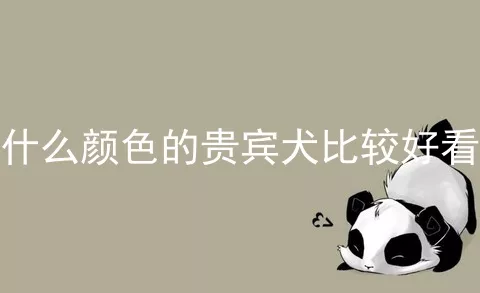 什么颜色的贵宾犬比较好看