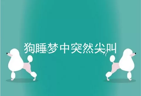 狗睡梦中突然尖叫