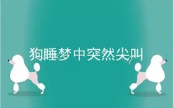 狗睡梦中突然尖叫