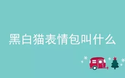 黑白猫表情包叫什么