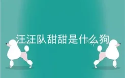 汪汪队甜甜是什么狗