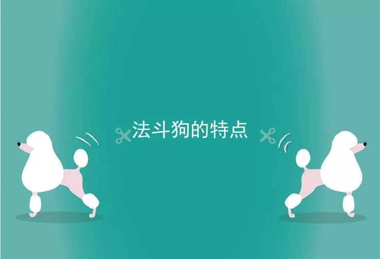 法斗狗的特点