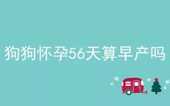 狗狗怀孕56天算早产吗