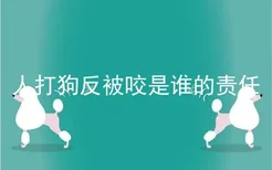 人打狗反被咬是谁的责任