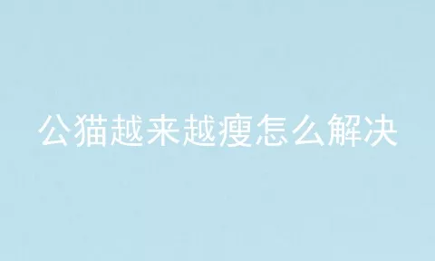 公猫越来越瘦怎么解决