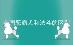 美国恶霸犬和法斗的区别