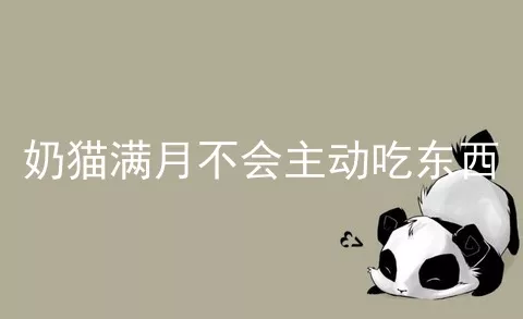 奶猫满月不会主动吃东西