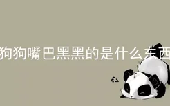 狗狗嘴巴黑黑的是什么东西