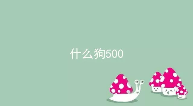 什么狗500