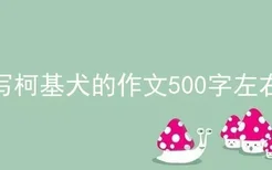 写柯基犬的作文500字左右