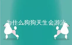 为什么狗狗天生会游泳