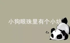 小狗眼珠里有个小坑