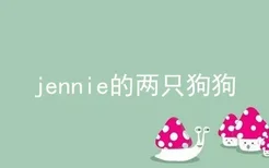 jennie的两只狗狗