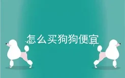 怎么买狗狗便宜