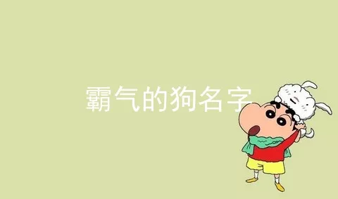 霸气的狗名字