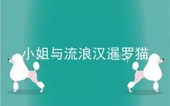 小姐与流浪汉暹罗猫