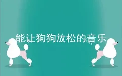 能让狗狗放松的音乐