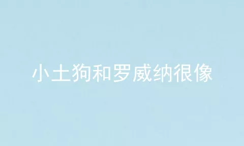 小土狗和罗威纳很像