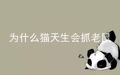 为什么猫天生会抓老鼠