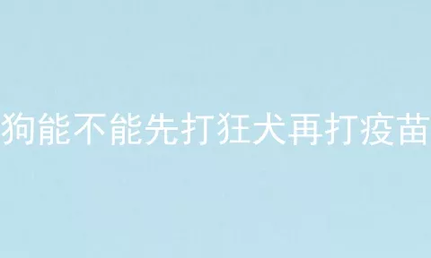 狗能不能先打狂犬再打疫苗