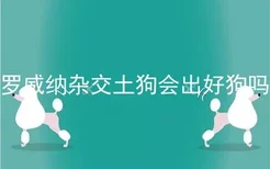 罗威纳杂交土狗会出好狗吗