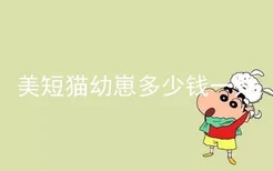 美短猫幼崽多少钱一只