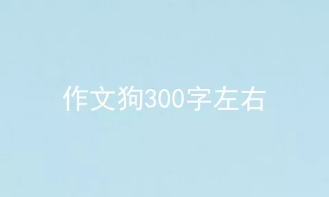 作文狗300字左右