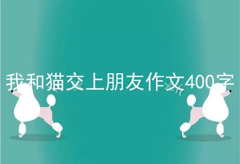 我和猫交上朋友作文400字