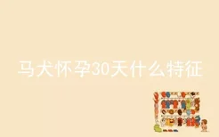 马犬怀孕30天什么特征