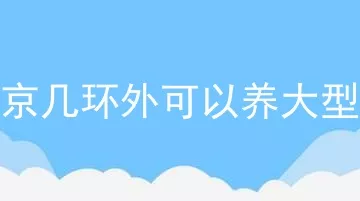 北京几环外可以养大型犬