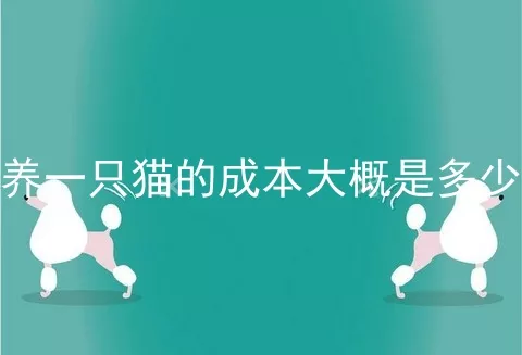 养一只猫的成本大概是多少