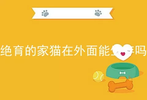 绝育的家猫在外面能生存吗