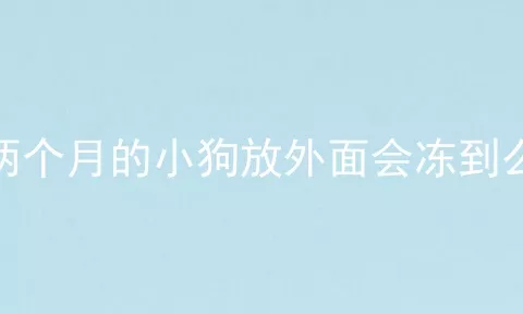 两个月的小狗放外面会冻到么