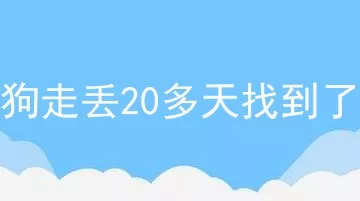 狗走丢20多天找到了