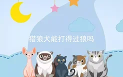 猎狼犬能打得过狼吗