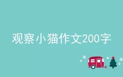 观察小猫作文200字