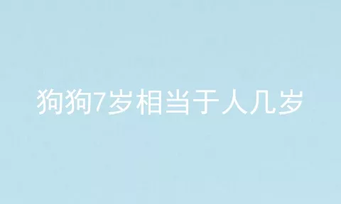 狗狗7岁相当于人几岁