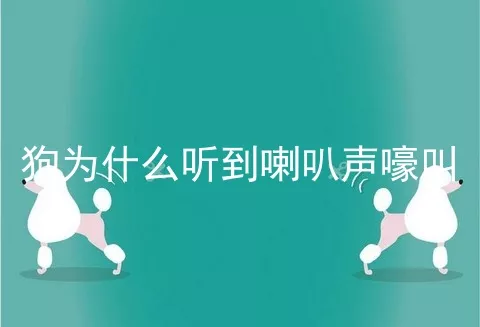 狗为什么听到喇叭声嚎叫