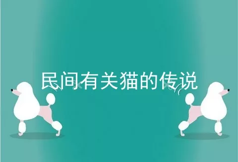 民间有关猫的传说