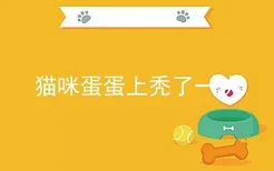 猫咪蛋蛋上秃了一块