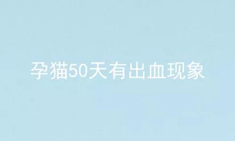 孕猫50天有出血现象