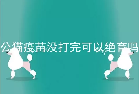 公猫疫苗没打完可以绝育吗