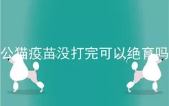 公猫疫苗没打完可以绝育吗