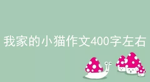 我家的小猫作文400字左右