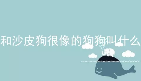 和沙皮狗很像的狗狗叫什么